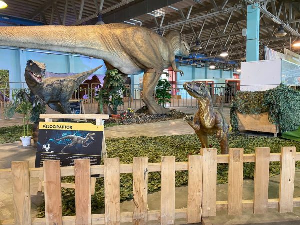 expo jurassic in tour foggia