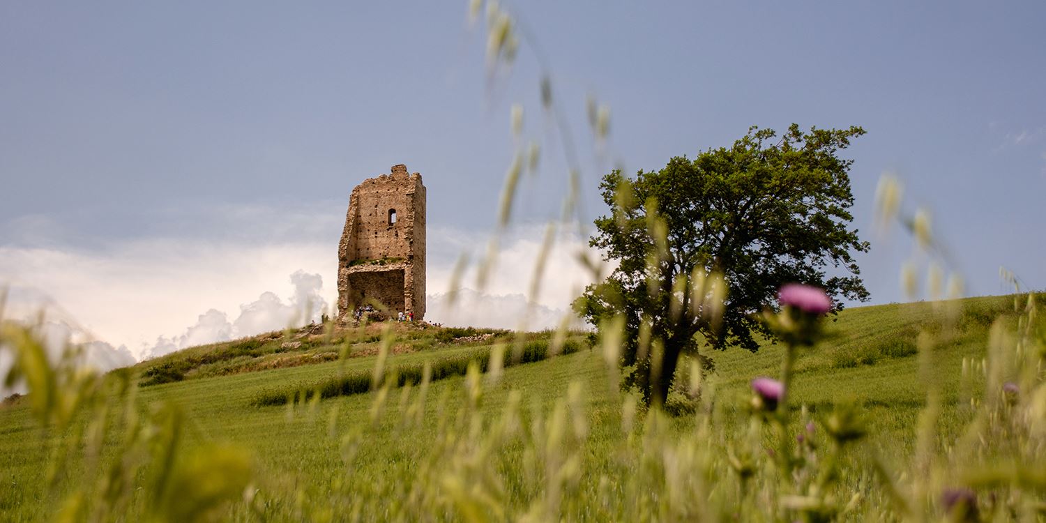 Torre Montecorvino